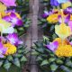 Centre Point Pratunam Wishes You a Happy Loy Krathong